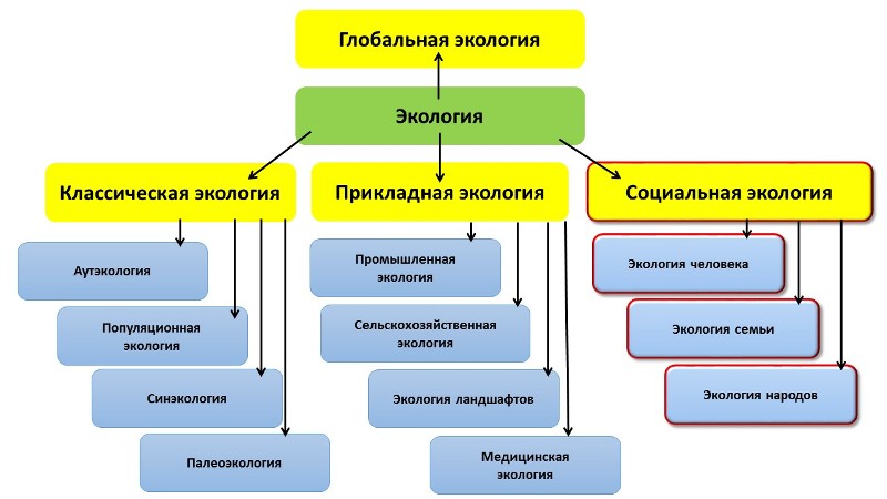 Прикладная экология. Виды прикладной экологии. Основные направления прикладной экологии. Прикладная экология изучает.