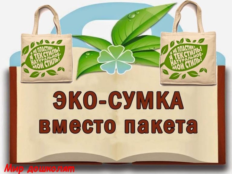 Проект экосумка презентация